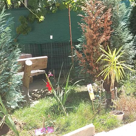 Casa Haiducilor ブラショフ エクステリア 写真