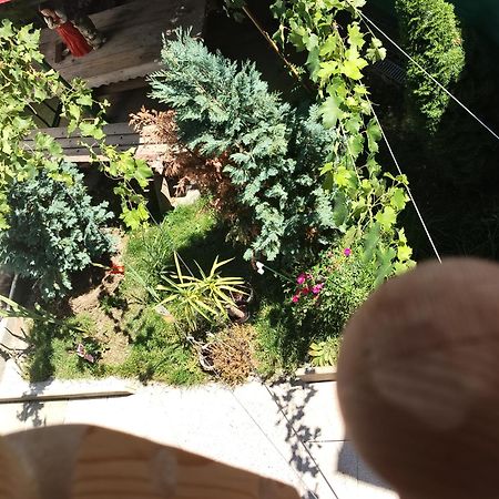 Casa Haiducilor ブラショフ エクステリア 写真