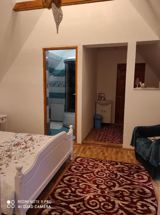 Casa Haiducilor ブラショフ エクステリア 写真