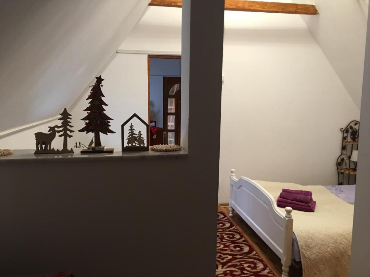 Casa Haiducilor ブラショフ エクステリア 写真
