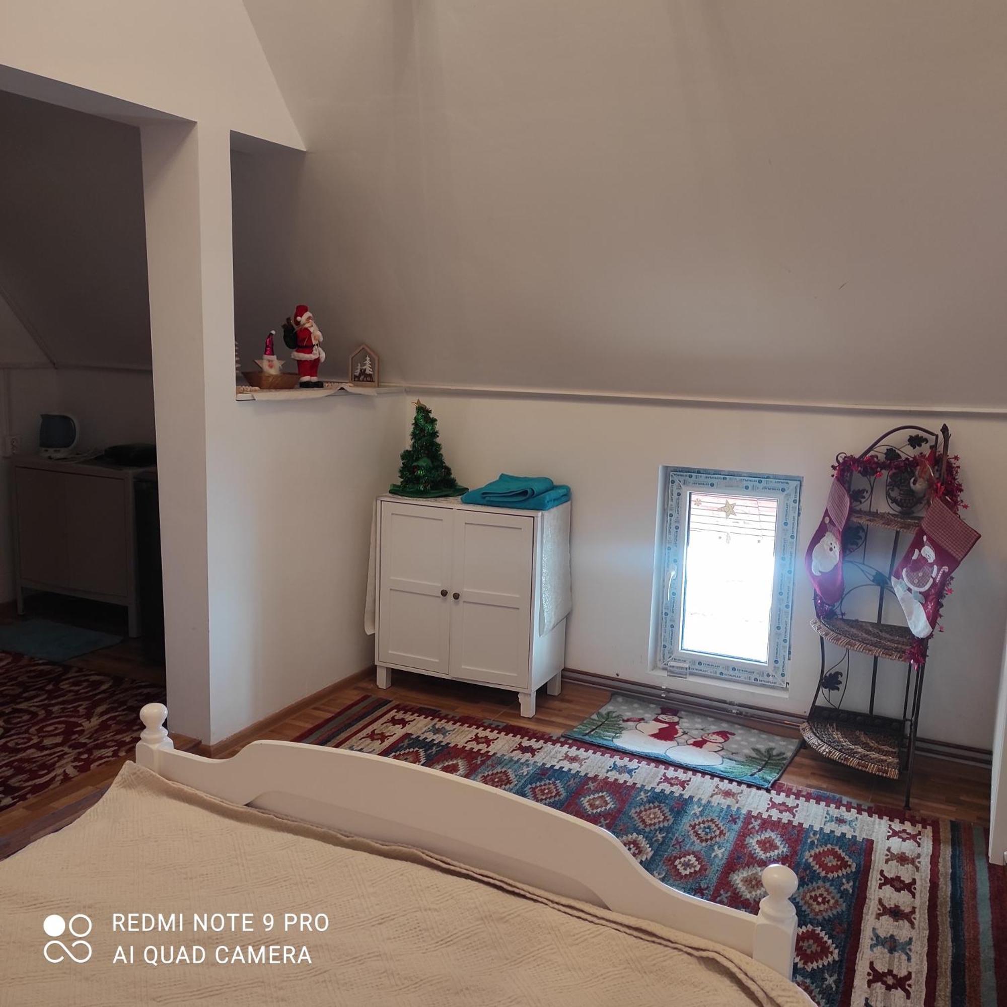 Casa Haiducilor ブラショフ 部屋 写真