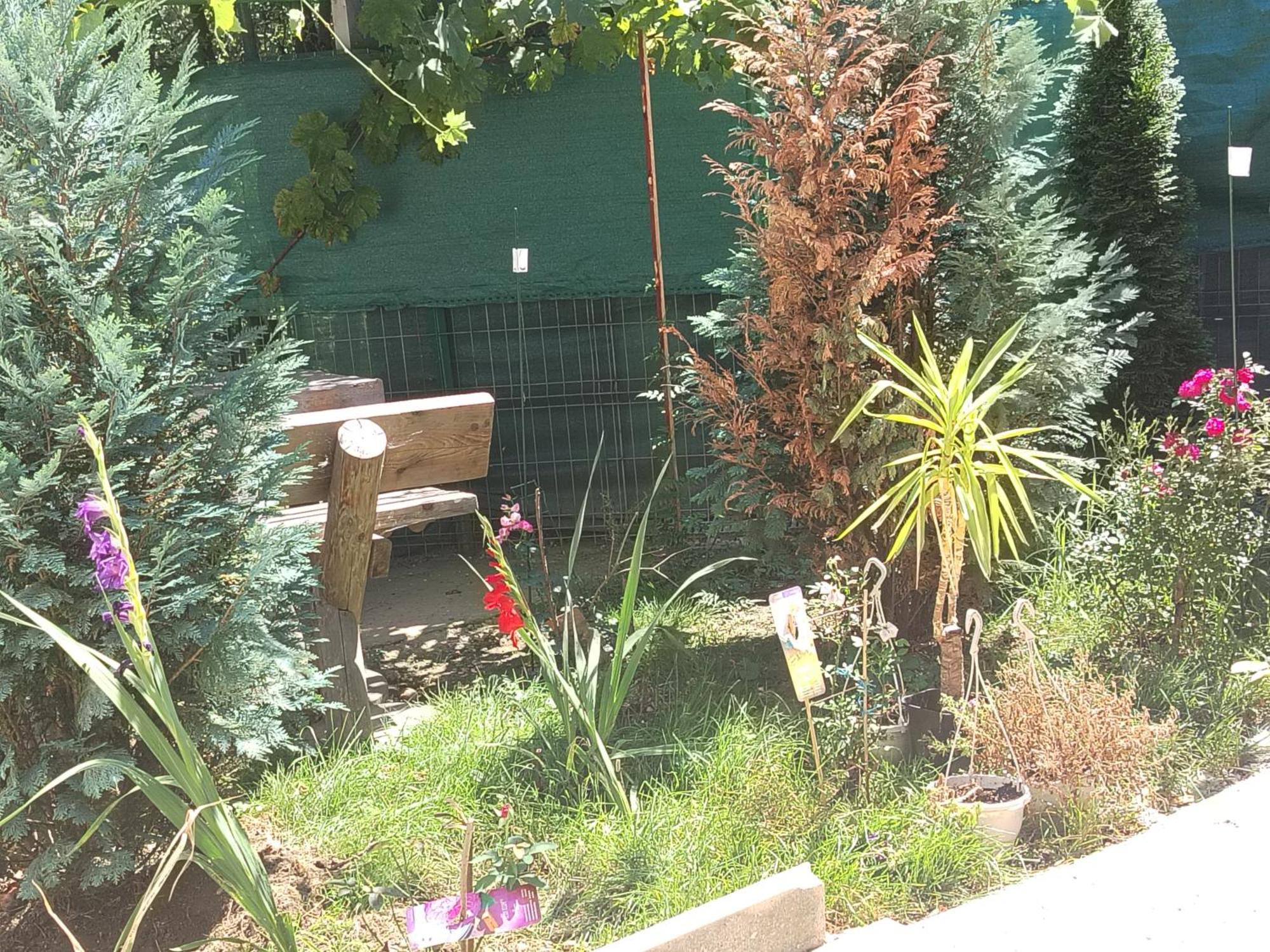 Casa Haiducilor ブラショフ エクステリア 写真