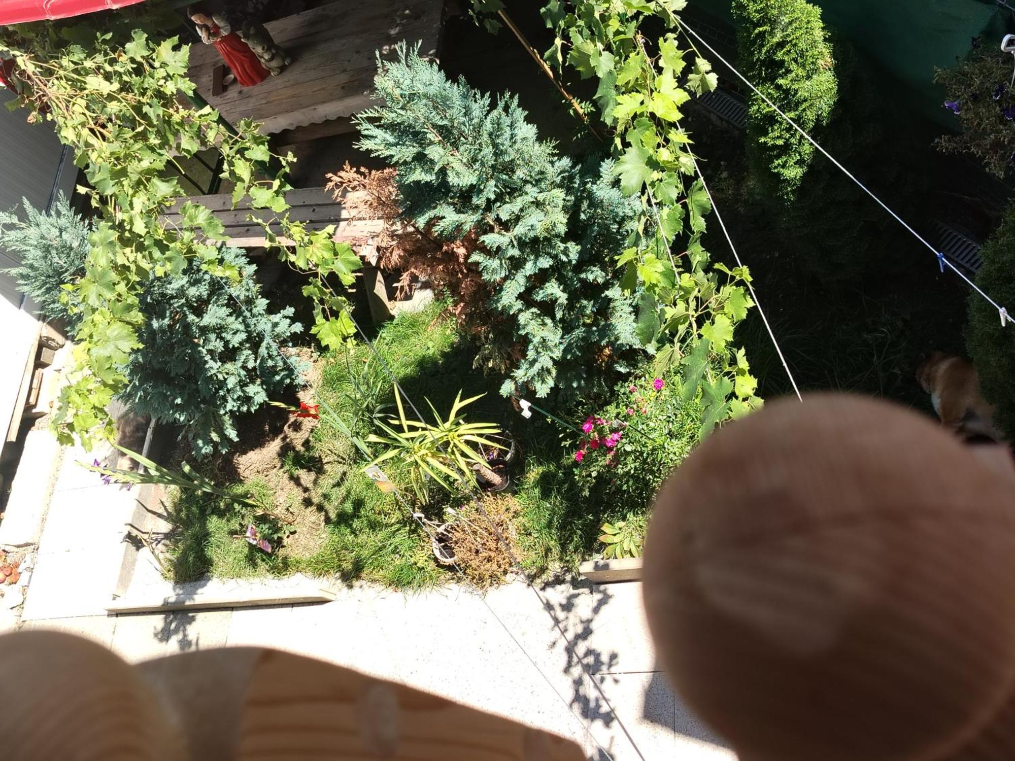 Casa Haiducilor ブラショフ エクステリア 写真